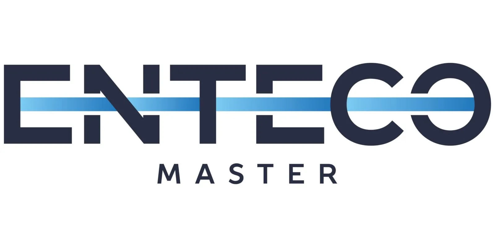 логотип EntecoMaster
